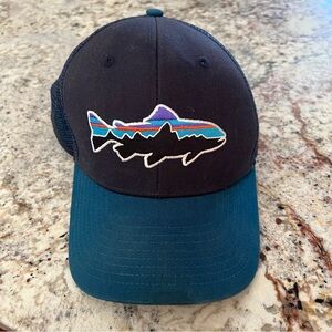 Blue Patagonia snap back hat